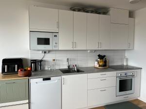 Cozy studio with view on Copenhagen