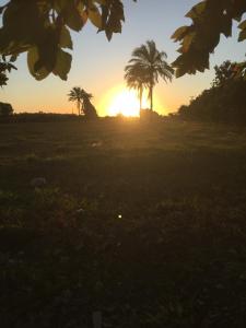 Casa do campo Flor de pitaya