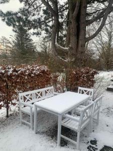 Cozy Family Holiday Home With Beautiful View