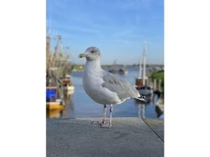 Holiday home with 3 bedrooms