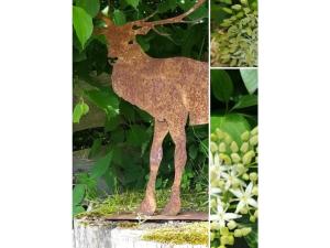 Holiday apartment with 1 bedroom