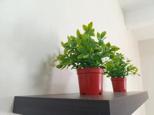 Rest and Go Damilag House Rental