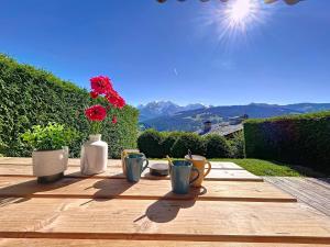 Appartement 2 pièces avec coin montagne, parking, vue Mont Blanc - FR-1-560-167