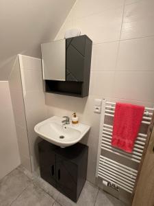 Moderní podkrovní garsonka s hezkým výhledem