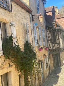 Gite 2 à 4 pers, Centre historique de Montignac