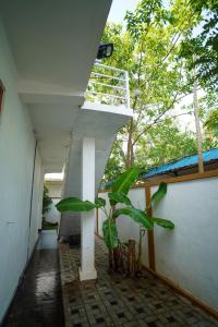 Casa Ceylon - Near Airport