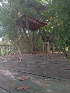 Eco lake Cabana Habarana