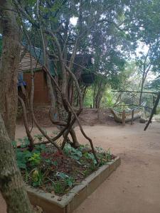 Eco lake Cabana Habarana