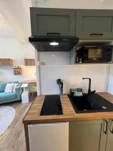 Les nids de Laon Le colibri