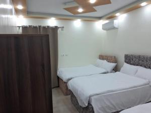 Pyramids AlaaELdein Dreams