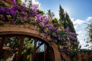 Agriturismo La Fonte Di Vivalda