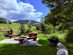 Osada Snozka - domki w górach z balią i kominkiem