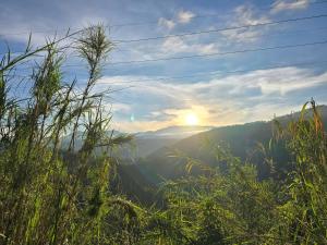 Farmers Hill Campsite Mountain-View Tent