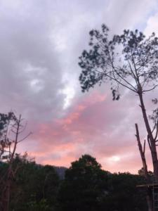 Farmers Hill Campsite Mountain-View Tent