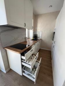 Pieńki i Towarzystwo - Apartamenty na wynajem Noclegi Pokoje przy Suntago Park of Poland Deepspot