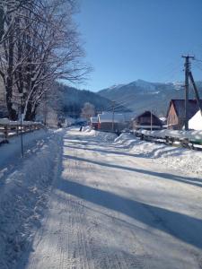 Квітка Горган