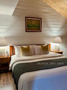 Olivescape- Charming & Cozy Wooden Cabin