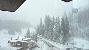 Pamporovo Living Cozy Mountain Home