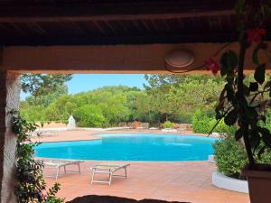 Sunset View Condo img63