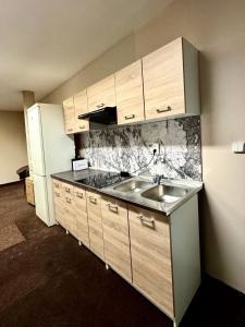 APARTMÁN CENTRUM Palackého