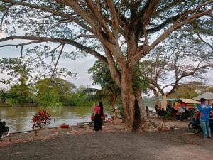 Watie Homestay Kota Emas Kota Sarang Semut Kedah Darul Aman