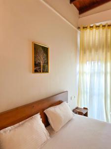 Dew Ceylon Villa Negombo