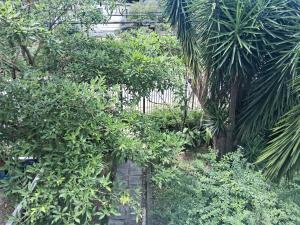 Hospedagem São Pedro Quarto 11