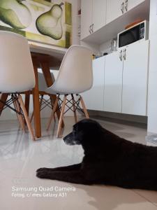 Casa térrea lindamente decorada e climatizada