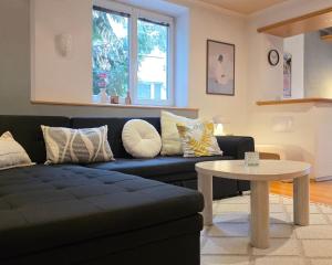 Hríbik v centre mesta