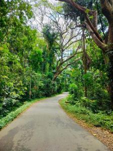 The Love Home Stay - Pinnawala