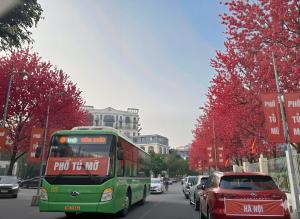 Hoa Lục Bình 401TM3AI