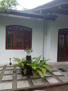 peacock Rest