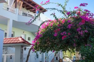 Spacious 2BR Apartment with Balconies in Karpathos