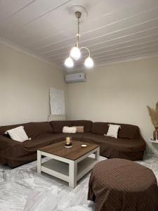 Artaki beach house with view