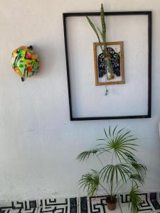 Quarto privado em Santa Teresa com quintal amplo