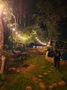 Forest Escape by Galarawa Lodge
