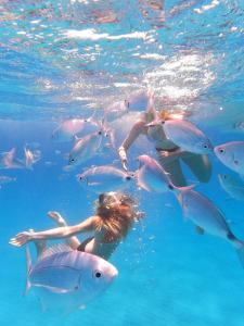 Flamingo Poetto img13