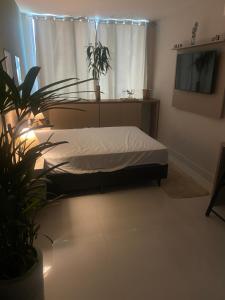 Loft recreio dos bandeirantes - Posto 12