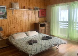 Large renovated studio for rent in Veysonnaz 4 Vallées