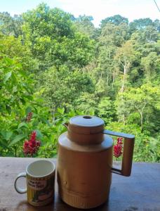 Cabaña Las Palmeras, Pura Vida