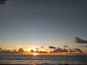 Life for Life Hostel Lodge Drake Bay Home of Sea Turtle Marine Conservation Project Osa Peninsula near San Josecito Beach