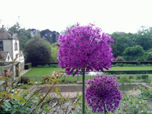 Glascwm Road, Penmachno, Betws-y-Coed, LL24 0PU, Wales.