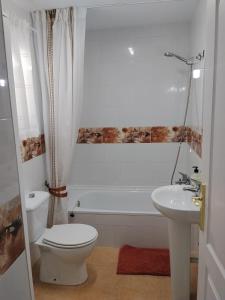 Apartamento independiente Teatinos Pilar 1 planta