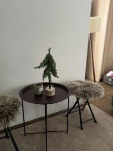 Apartman Ivana Kopaonik
