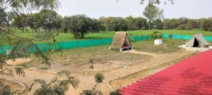 Camping at Khajuraho Permaculture Farm