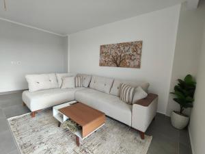 Luxury 1 Bedroom High Furniture In Palm Parks