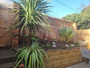 Central Maison Indigo