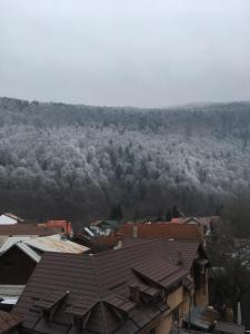 Splendid view Sinaia