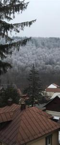 Splendid view Sinaia