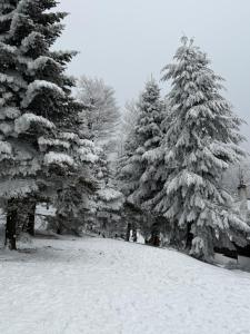 Wellness chata Kozička